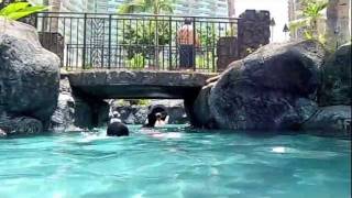 Hilton Hawaiian Village Waikiki Beach Resort - Our Paradise Pool. One of 5  pools and home to the best waterslide in Waikiki. #bestpoolsinwaikiki  #hiltonhawaiianvillage