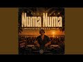 Numa Numa (Afro House Cover)