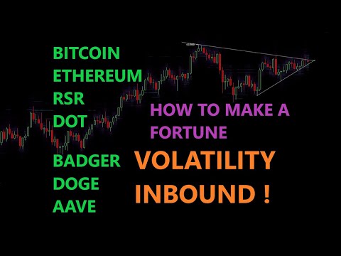 Price Analysis Bitcoin Ethereum RSR DOT Doge AAVE Badger