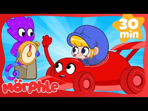 Stop The Stopwatch ⌚ | Fun Animal Cartoons