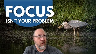 Here's why your wildlife photos are not sharp