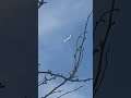 #airplane #airplanespotting