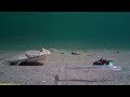 Water Wolf: Plattfischangeln in Dänemark, Gjerrild 28.06.18 - VivaVideo