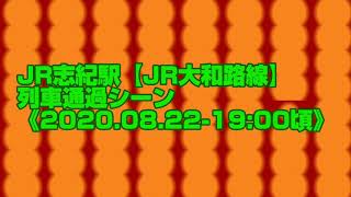 JR大和路線・志紀駅　列車通過シーン《2020.08.22【土曜日-19:00頃】》