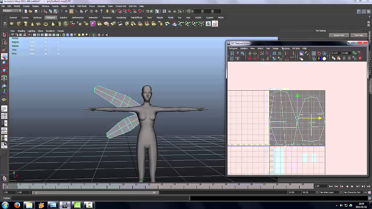 Meshing of (Very!) Simple Faerie Wings
