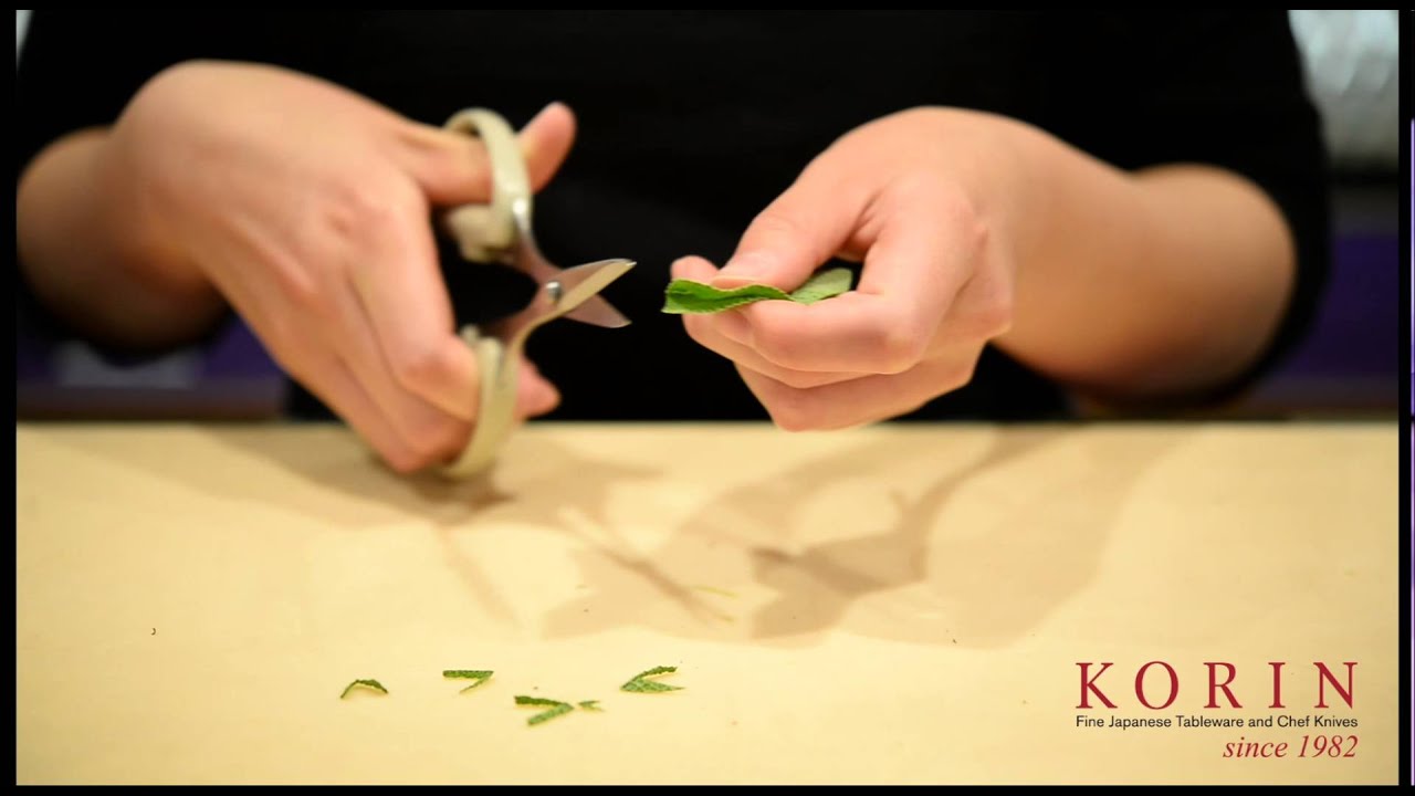Silky Kitchen Scissors | Korin