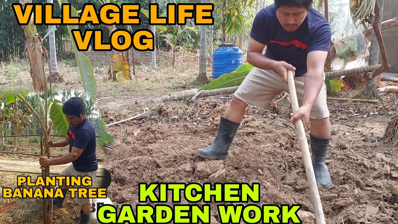 Village Life Vlog | Kitchen Garden Work | Planting Banana Trees 🌱🍌