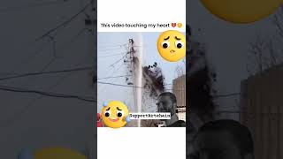 This  Touching My Heart emotional shorts