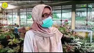 Tim SDG BPTP Jambi Survei Laboratorium Kultur Jaringan dan Aklimatisasi di Taman Anggrek