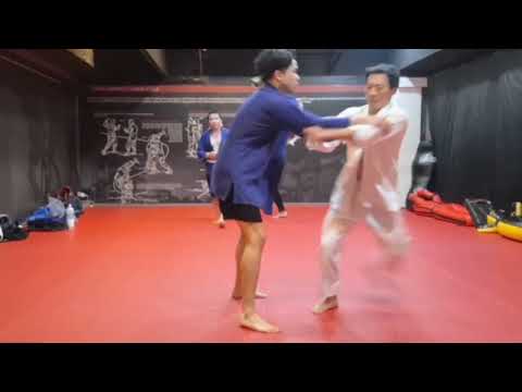 Видео: punching then takedown and Uchi-mata Throw training clips