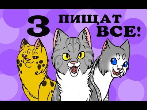 Catwar генератор имен