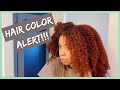 Hair Color ALERT! | Refreshing My Hair Color With Adore | Auburn Vibes