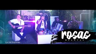 La Dictadura - Rosas Blancas (Video Oficial) [En Vivo]