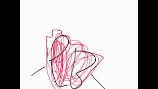 Poland Bros. Pictures And Poland Anamiton Group Logo