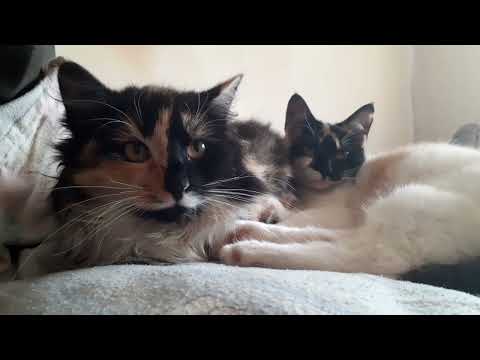 You got some coffee on your lip Kitten!