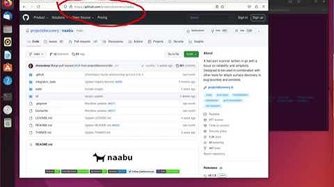 Port and Host scanning with Naabu