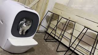 LALAHOME RealScooper  Auto SelfRefill Litter Box for your Pet