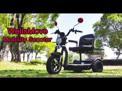 senior electric mobility scooter USA grass ground off road riding
