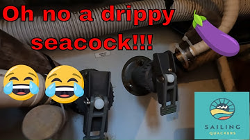 Servicing our shakewell seacocks