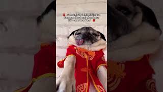 “Wishing you a happy Lunar New Year” -Doug
