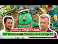 Самый бестолковый праздник - день огурца в Суздале.