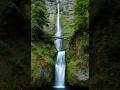 Powerful Waterfall Through the Green Forest 🏞️ | Peaceful Bridge View #shorts