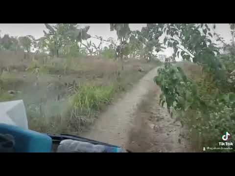 mapae jalan setapak...