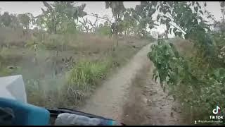 mapae jalan setapak...