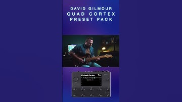 QUAD CORTEX - @davidgilmour  @NeuralDSP - Preset Pack