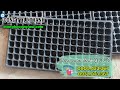 CHUYÊN CUNG CẤP KHAY ƯƠM HẠT 200 LỖ GIÁ XƯỞNG  | khay ươm hạt giống giá sỉ