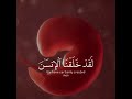 اية لقد خلقنا الانسان في احسن تقويم