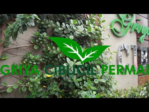 Griya Cibucil Permai Rumah Murah Dp cuma 1jtaan  di Cileungsi Bogor