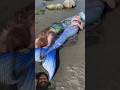 Two Real Mermaids washed up on the beach?!is one still moving?? #realmermaid #mermaid #funny