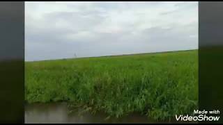 Download Lagu Abii-Monytheer: \ MP3