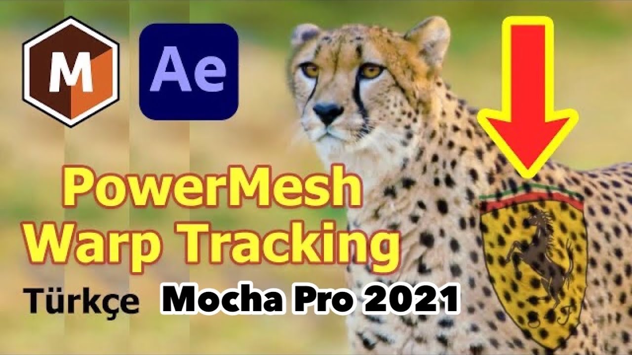 powermesh mocha