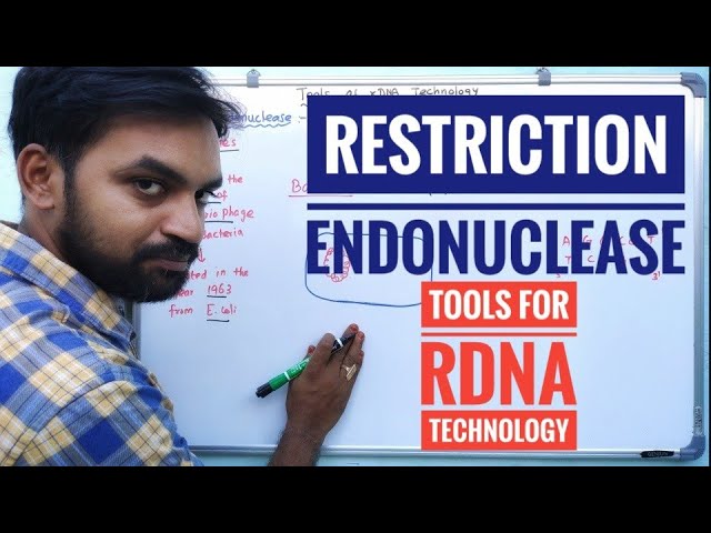 Restriction endonuclease | Biotechnology | V Senthilnathan