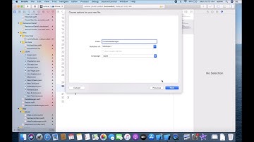 iOS 13 Programming for Beginners | 21.Understanding Core Data