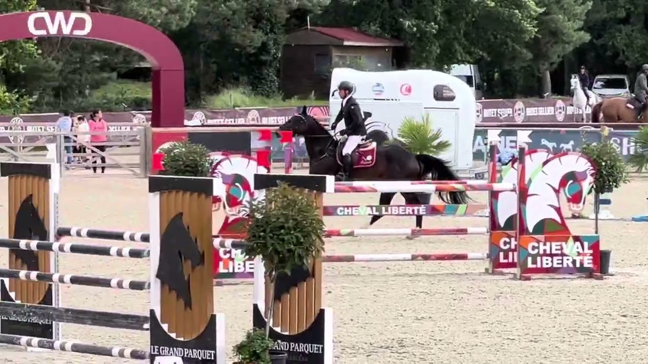 Hemingway Bois Margot (Qlassic Bois Margot x Quaprice) 6 yo approved stallion