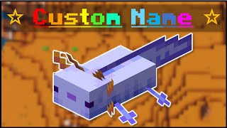 Celebrity Minecraft - How To Summon Mobs With Custom Names! Wealth