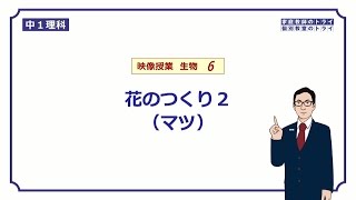 中１ 理科 生物 花のつくり 裸子植物 １６分 Youtube