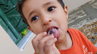 سامر أكل الدوده في رمضان