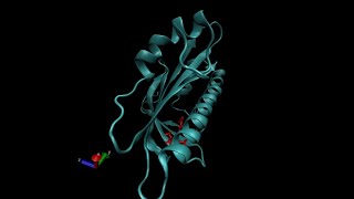 Bioinformatics Beginners Part 2 : Molecular Dynamics Simulation using NAMD