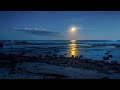 اجمل صوت قران يبكي الحجر 