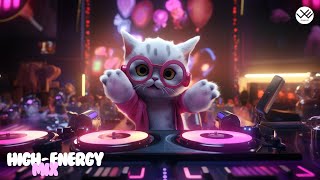 High Energy Mix ⚡️ Popular Songs remixed for EDM Liftoff
► Get ready for liftoff! This high-energy mix features popular songs transformed into epic EDM anthems by ELEMENTS. Crank up the volume and let the pulsing beats and soaring melodies take you on a wild ride.
Perfect for workouts, parties, or just letting loose, this playlist is guaranteed to get your heart racing.
► Follow us on Spotify
https://open.spotify.com/artist/5MmpXvAFEfTd37ZCRiOPMT
► Elements Instagram Id: https://www.instagram.com/elements_official_/
► Follow us on everywhere
https://linktr.ee/elementsmusic
Hey Elements Fam-e-le if you want to see us grow more and post more contents like this. Please support us by donating on this link.
Thanks in Advance and Appreciate your support 😉
https://www.paypal.com/paypalme/5ag70
Watch our latest videos:
- https://www.youtube.com/watch?v=TyCrsIPKBhM
- https://www.youtube.com/watch?v=Ducd0fVqnVU&list=PLv695483ty5OJsXozVQxJruHVKbtKMbNh
- https://www.youtube.com/watch?v=4LiLDDtD51s
► Follow ELEMENTS
Facebook :- https://www.facebook.com/ElementsMusicVideos
Instagram :- https://www.instagram.com/elements_official_/
Youtube :- http://www.youtube.com/c/ELEMENTS0?sub_confirmation=1
Soundcloud :- https://soundcloud.com/elementsplus
Pinterest :- https://in.pinterest.com/ELEMENTS0/
www.freepik.com
Guys Follow our backup channel
perfect Suicide :- https://m.youtube.com/c/PerfectSuicide
Elements Plus :- https://www.youtube.com/channel/UCqTD...
Elements now :-https://www.youtube.com/channel/UCAAv...
Tracklist:
00:00 Benson Boone - Beautiful Things (ELEMENTS Remix)
02:27 J.Tajor - Like I Do (ELEMENTS Remix)
04:50 Thee Sacred Souls - Can I Call You Rose (ELEMENTS Remix)
07:36 Cupids Chokehold / Breakfast in America (ELEMENTS REMIX)
09:50 Lund - F*ck Love (ELEMENTS REMIX)
11:44 Shaggy - Angel ft. Rayvon (ELEMENTS Remix)
15:15 Kenya Grace - Strangers (ELEMENTS remix)
19:42 taylor swift - cruel summer (ELEMENTS Remix)
22:39 Jack Harlow - Lovin On Me (ELEMENTS Remix)
Tags
#Elementsmusic
#ElementsSongs
#ElementsShuffleDance
#ELEMENTS
#Elementsteam
#elements High Energy Mix ⚡️ Popular Songs remixed for EDM Liftoff