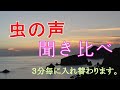 虫の声 １時間　　３分ごとに鳴き声が入れ替わり、虫の名前を表示されます。全部で１０種類以上　　自然の音　癒し・睡眠用・勉強集中・瞑想・研究等に