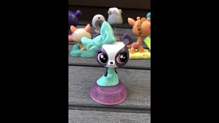 Asmr Penny Ling Panda