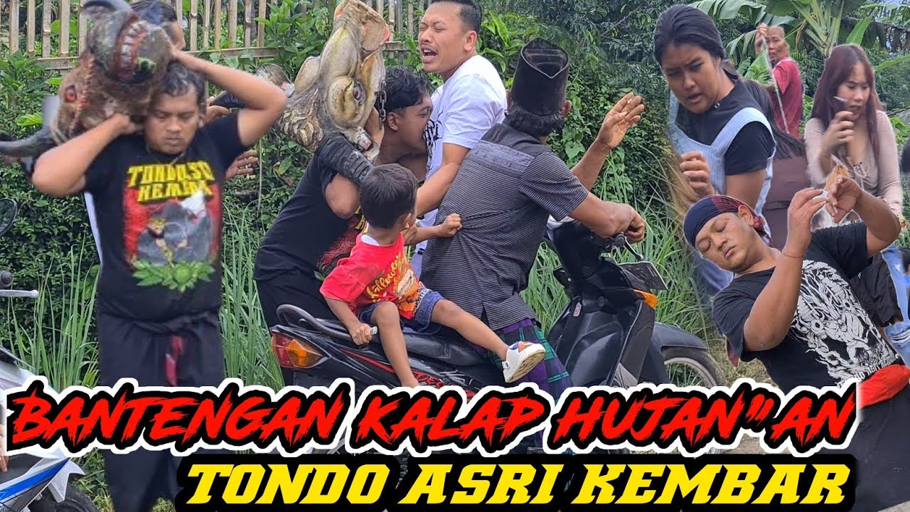 KEPALA BANTENGAN SATU PICK UP!! Tondo Asri Kembar 