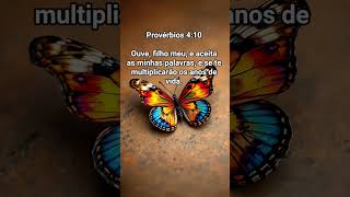Versículo da Bíblia #gospelmusic #automobile #jesus #amor #music #frasemotivacao #bomdia #mensagem