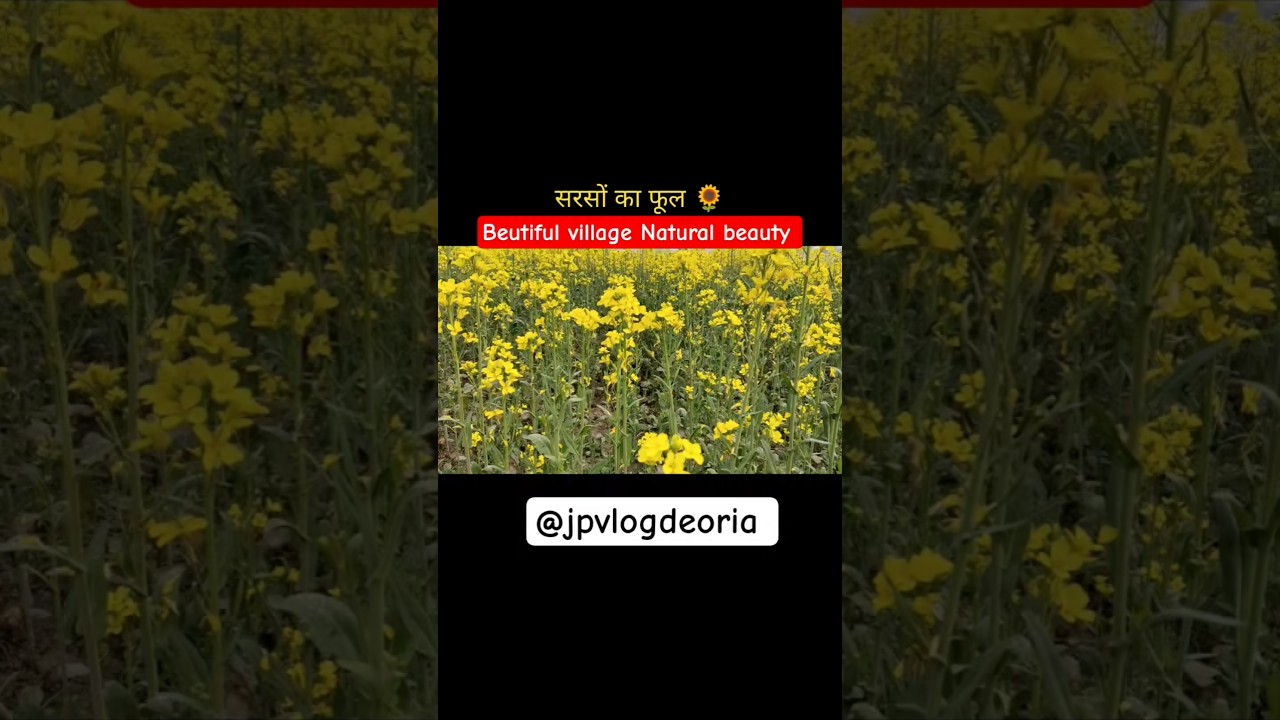 village Natural beauty 