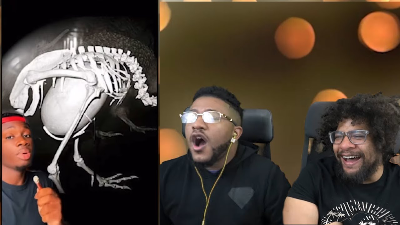 Животные, которым эволюция показала средний палец! | Casual Geographic Reaction